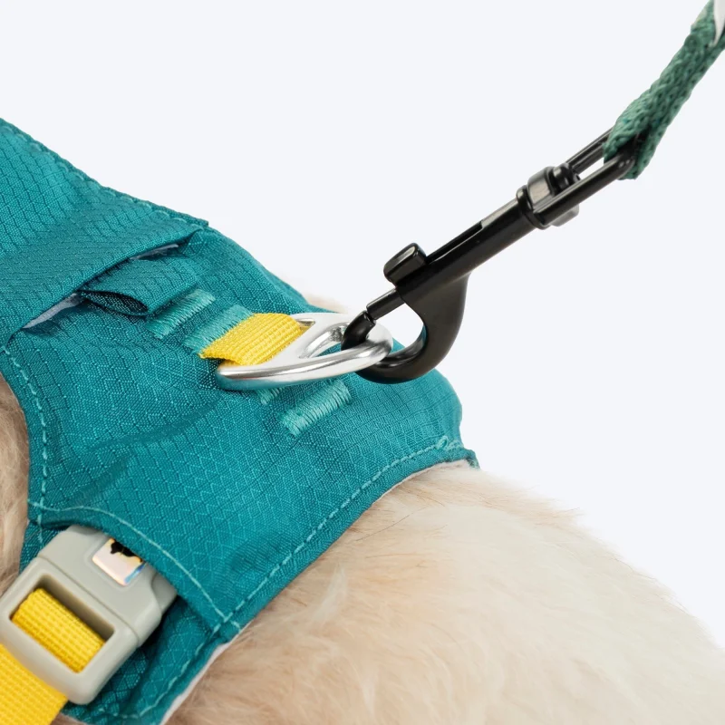 HUFT Walkmate Harness for Dogs — in use
