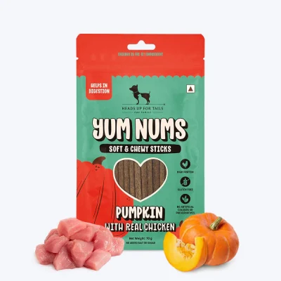 HUFT Yum Nums Pumpkin with Real Chicken Soft and Chewy Grain Free Sticks Treat for Dogs