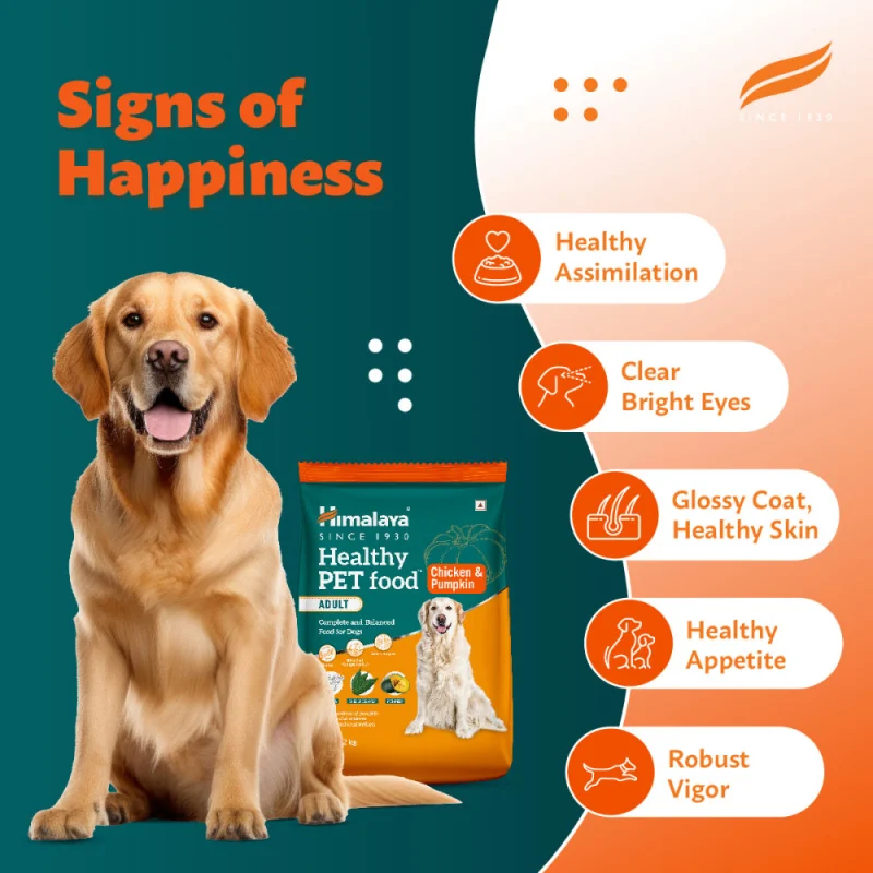 Himalaya Chicken & Pumpkin Adult Dog Dry Food — in use