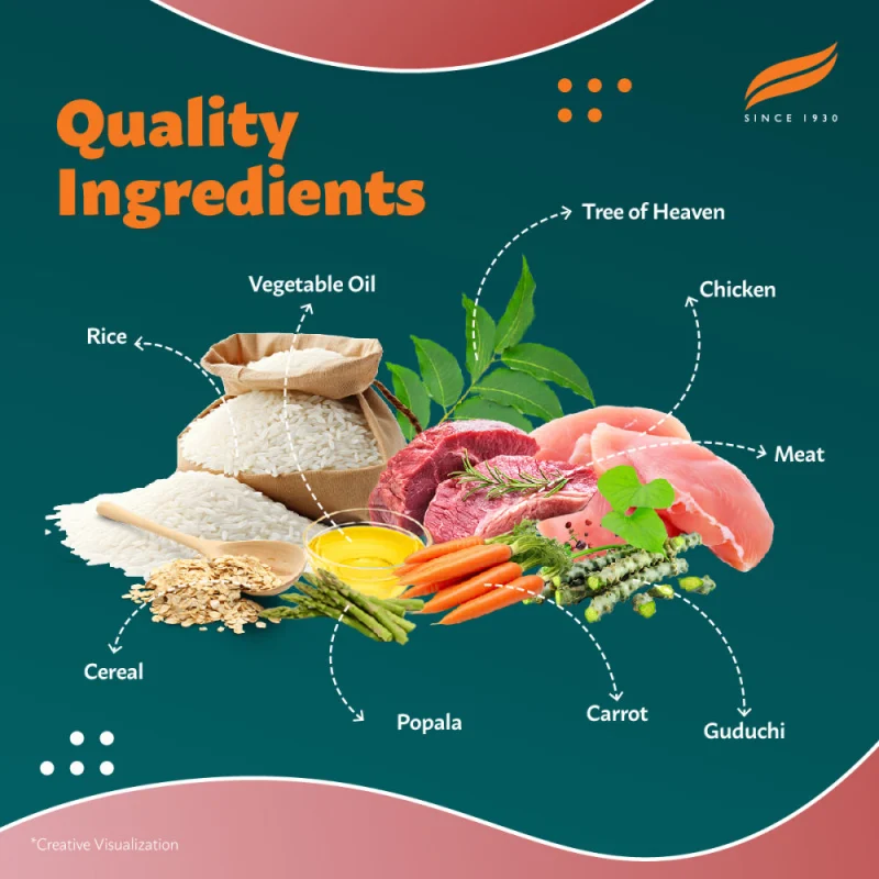 Himalaya Meat & Rice Healthy Pet Adult Dog Dry Food — back view