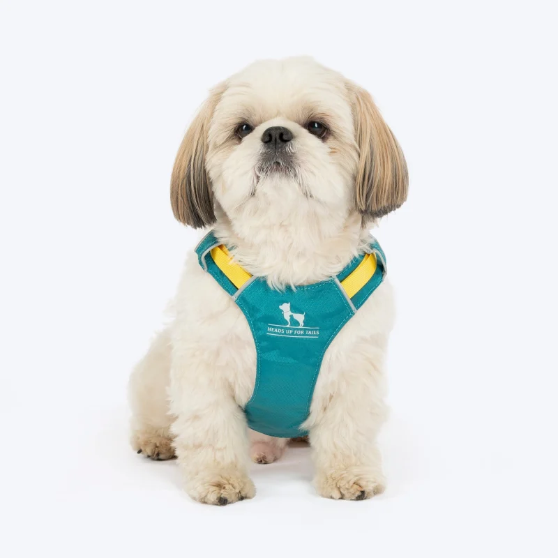 HUFT Walkmate Harness for Dogs (Teal Green) - L