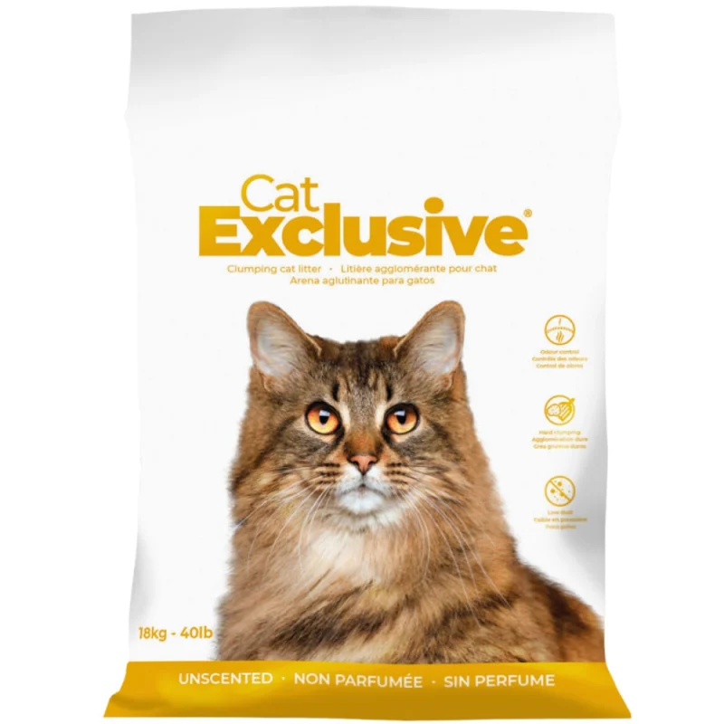 Intersand Cat's Exclusive Sodium Bentonite Clumping Unscented Cat Litter — detail shot