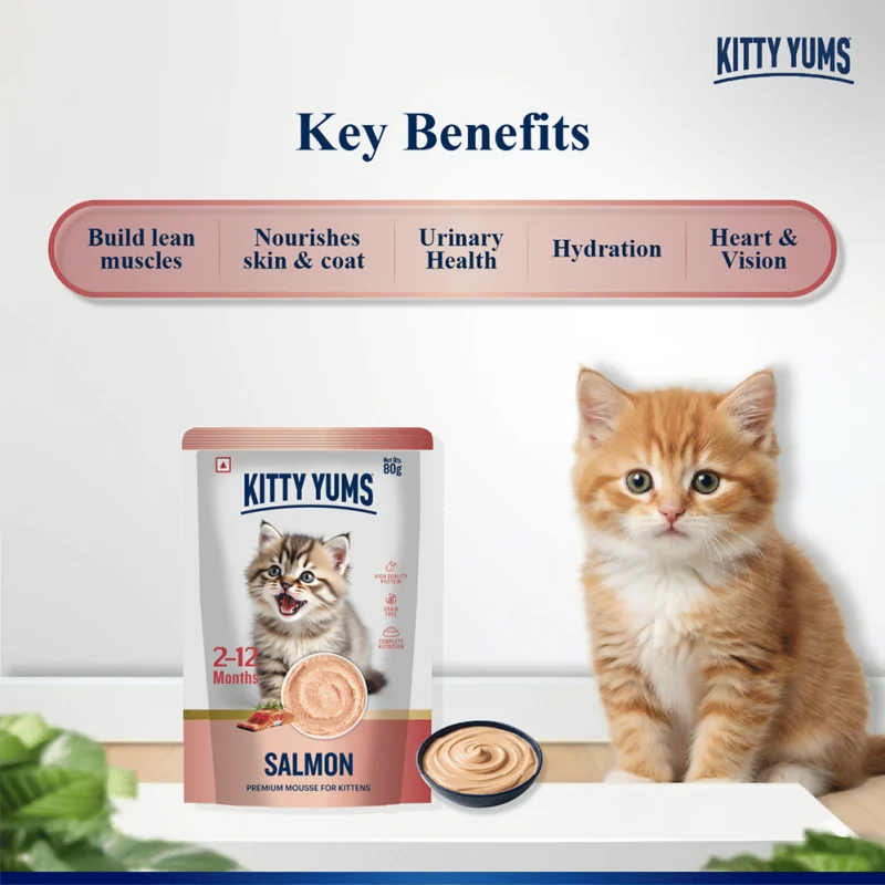 Kitty Yum Salmon Mousse Kitten Cat Wet Food — side view