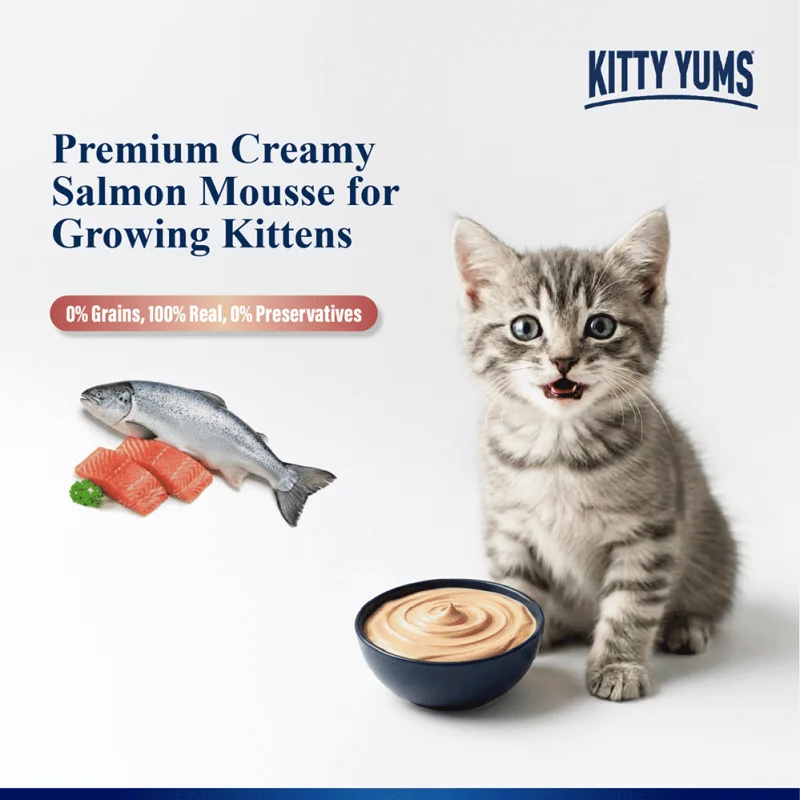 Kitty Yum Salmon Mousse Kitten Cat Wet Food — detail shot