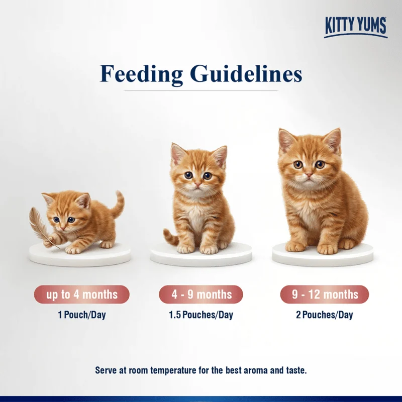 Kitty Yum Salmon Mousse Kitten Cat Wet Food — in use