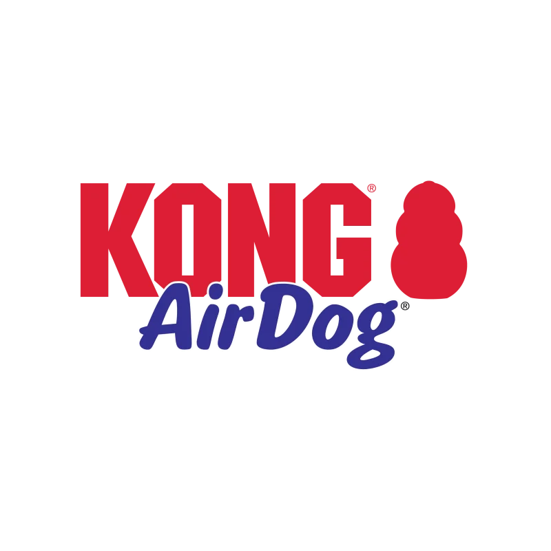 Kong AirDog Bone Toy for Dogs — back view