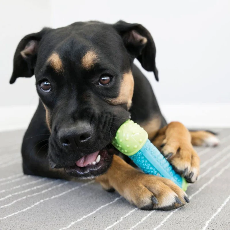 Kong CoreStrength Bone Toy for Dogs — back view