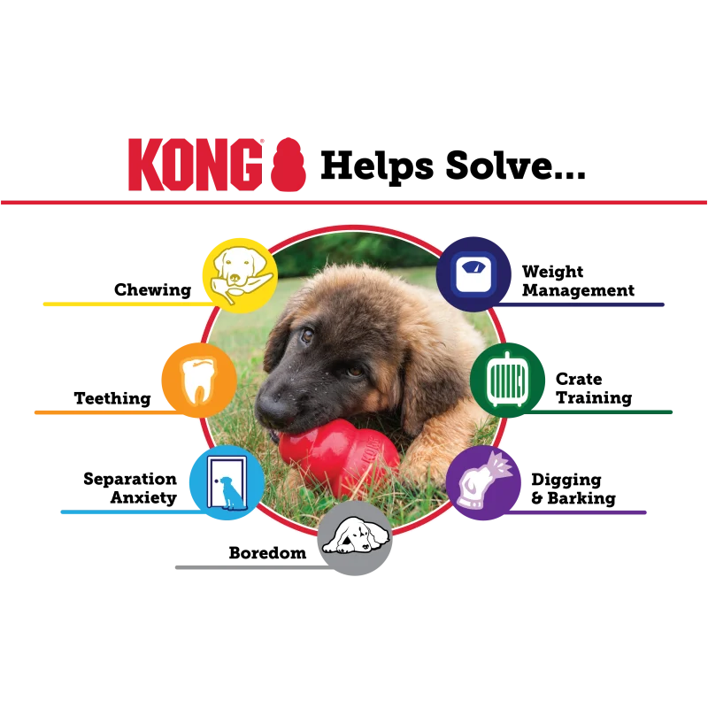 Kong Extreme Toy for Dogs — back view