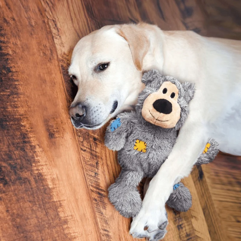 Kong Wild Knots Bear Toy for Dogs — back view