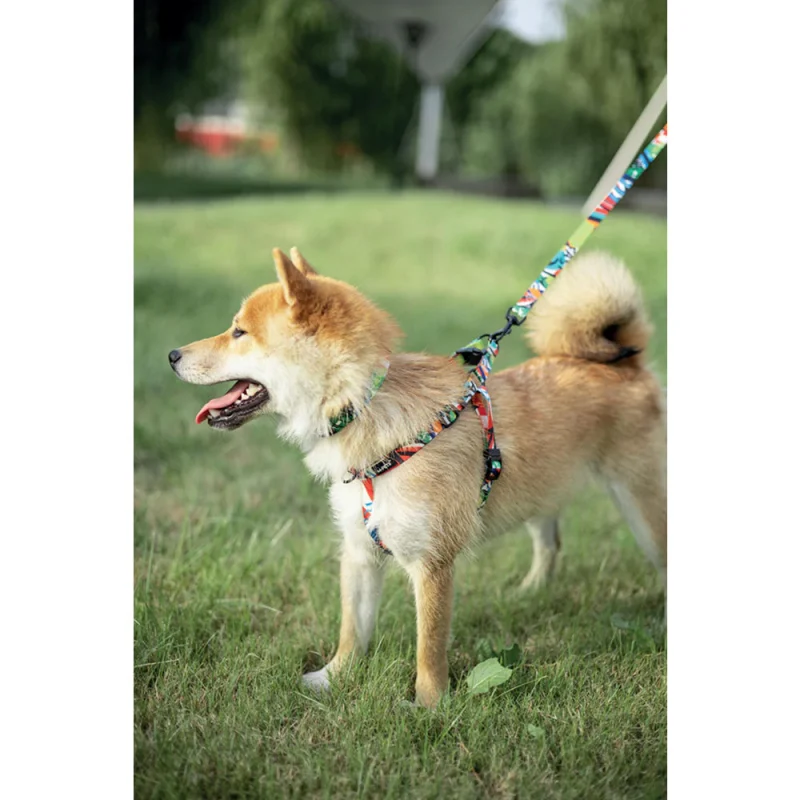 M Pets Urban Style Freestyle Harness for Dogs — detail shot