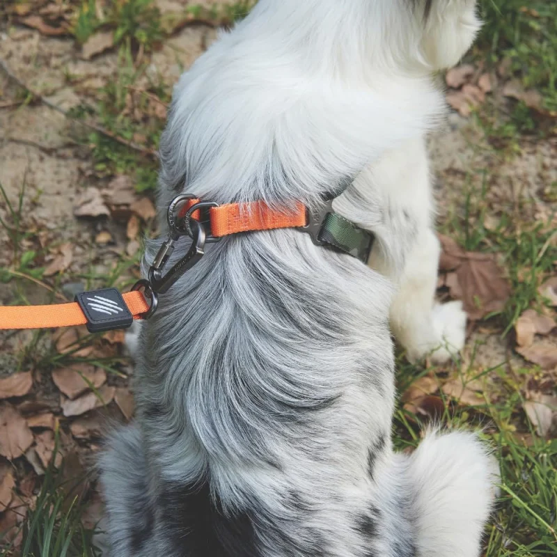 M Pets Wild Jungle Control Leash for Dogs — detail shot