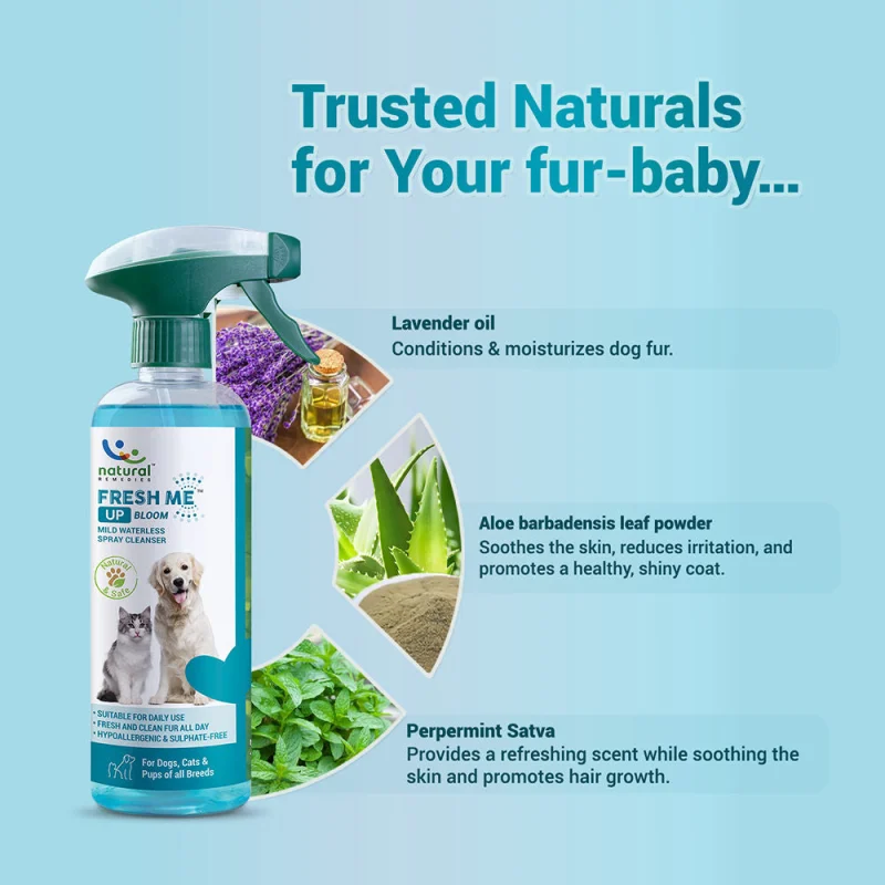 Natural Remedies Fresh Me Up Bloom Dry Shampoo for Dogs and Cats — back view