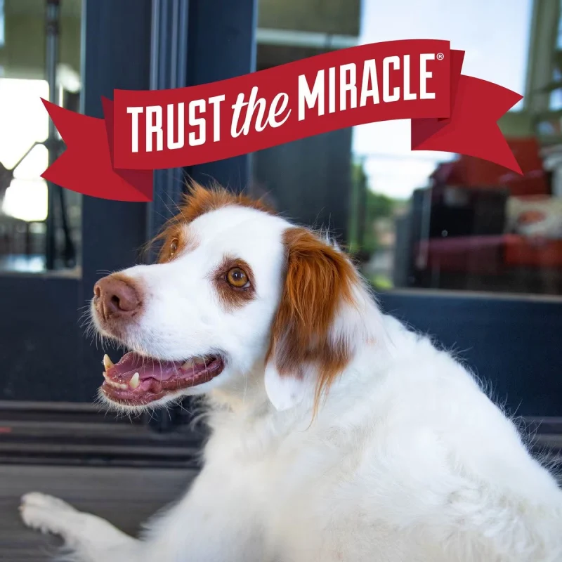 Nature's Miracle Whitening Shampoo and Conditioner for Dogs — back view