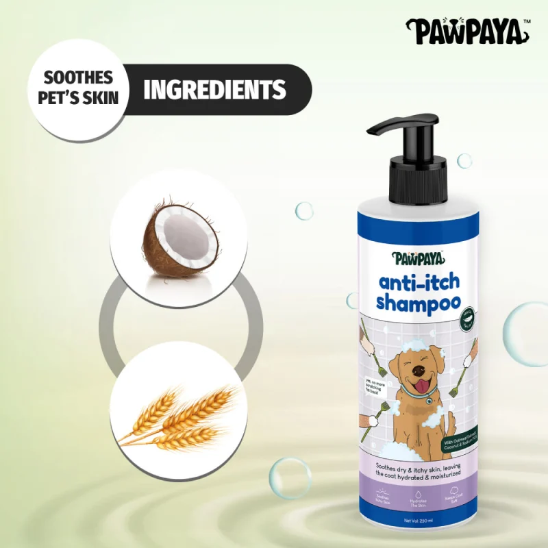 Pawpaya Anti Itch Shampoo for Dogs — in use