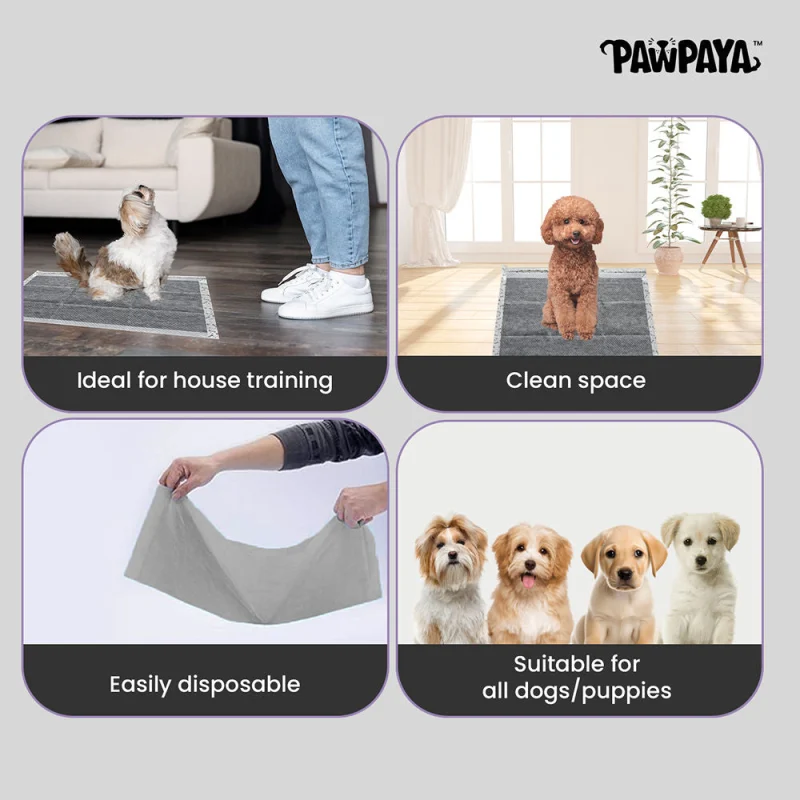 Pawpaya Carbon Training Pad for Dogs — in use