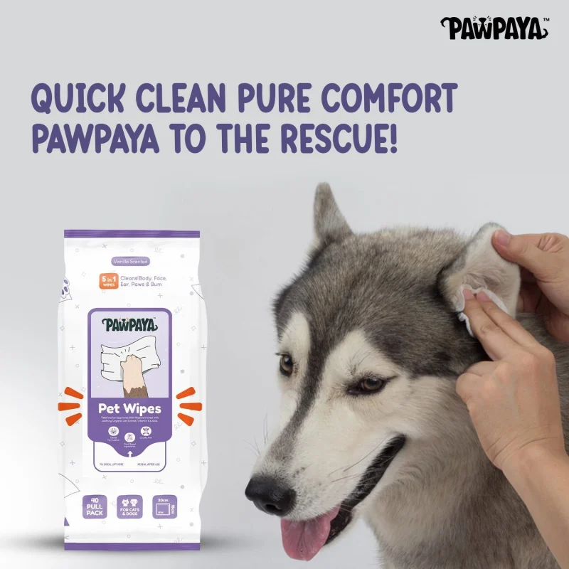 Pawpaya Lavender Wipes for Pets — side view