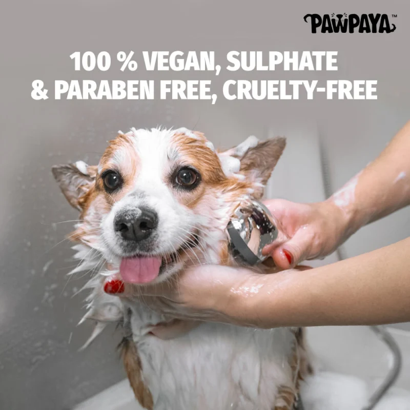 Pawpaya Long Coat Shampoo for Dogs — back view