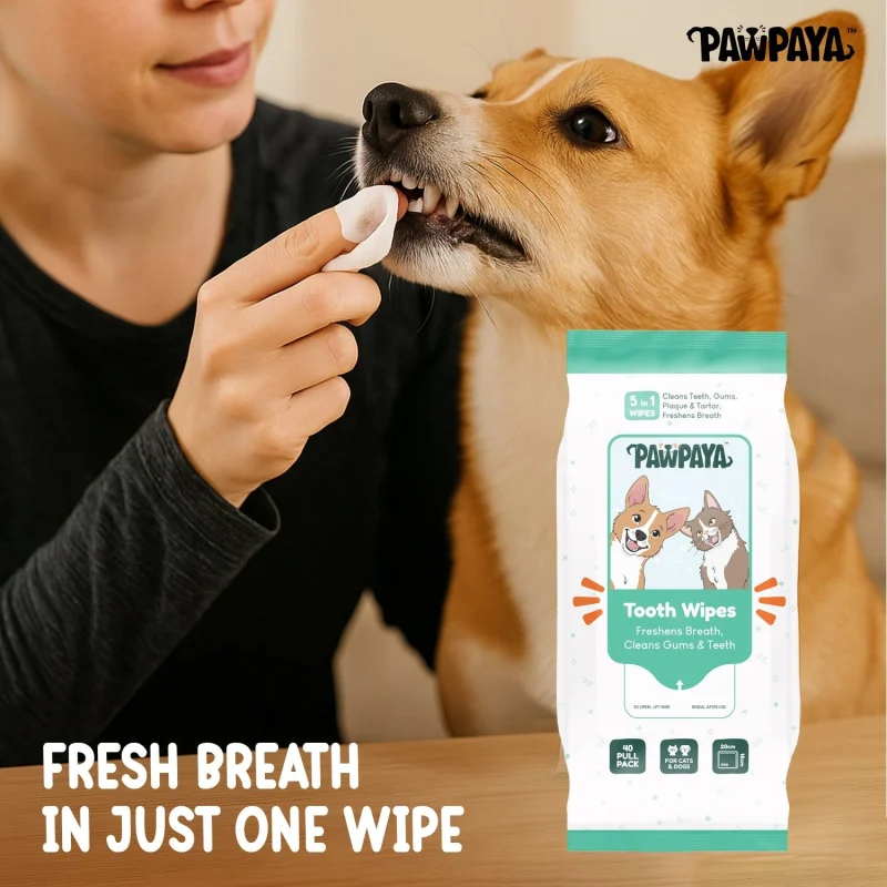 Pawpaya Tooth Wipes for Dogs and Cats — side view