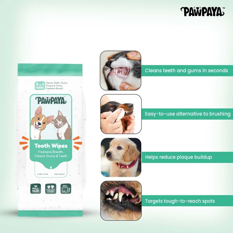 Pawpaya Tooth Wipes for Dogs and Cats — detail shot