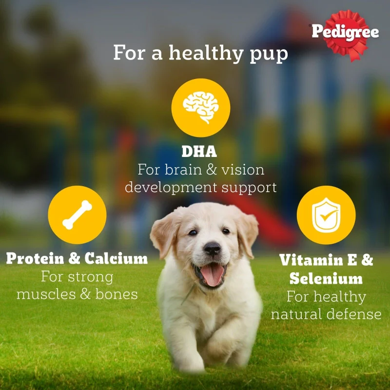 Pedigree Chicken and Liver Chunks in Gravy Pouch Puppy Dog Wet Food — back view