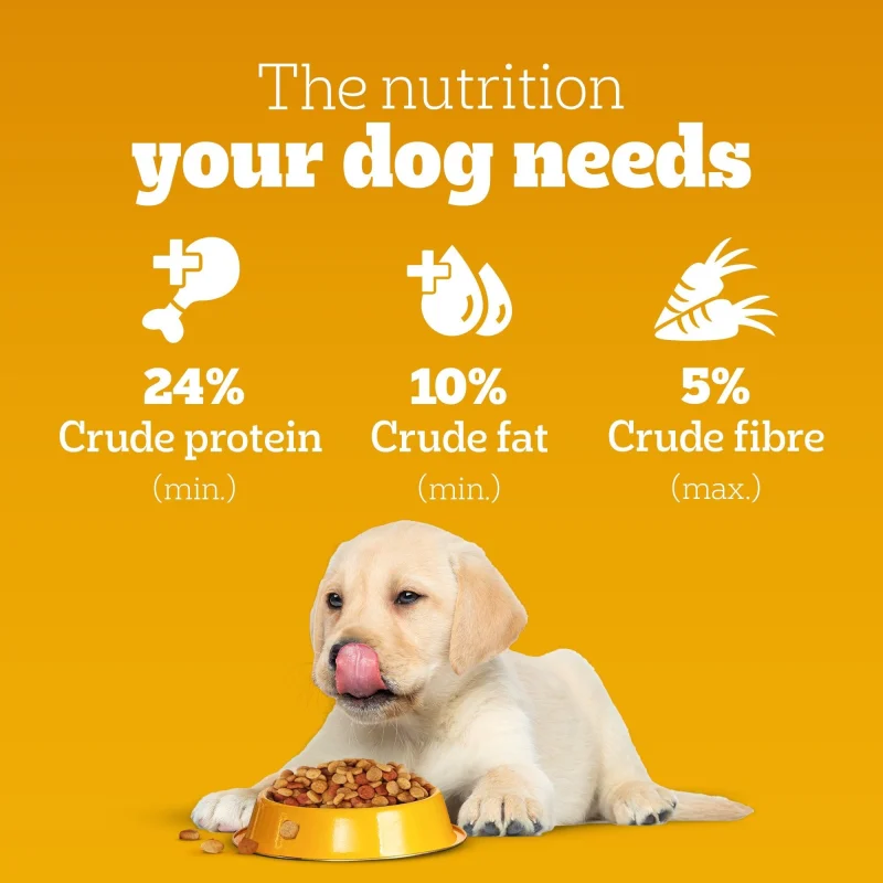 Pedigree Chicken and Milk Puppy Dog Dry Food — back view
