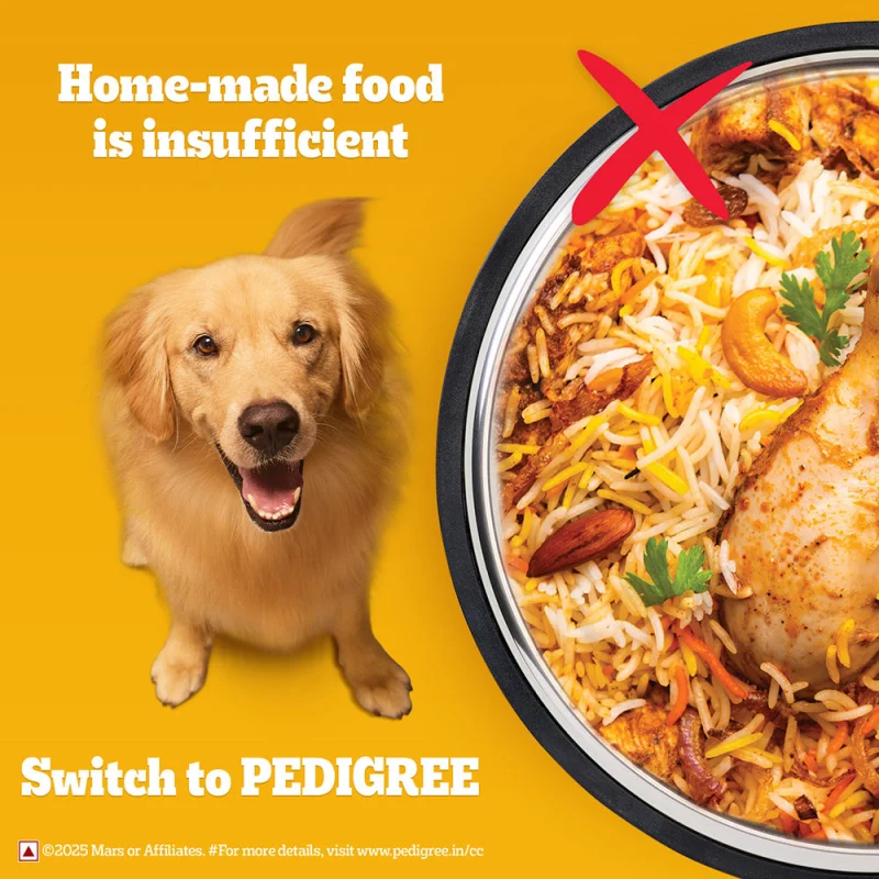 Pedigree Chicken Biryani Flavour Adult Dog Dry Food — back view
