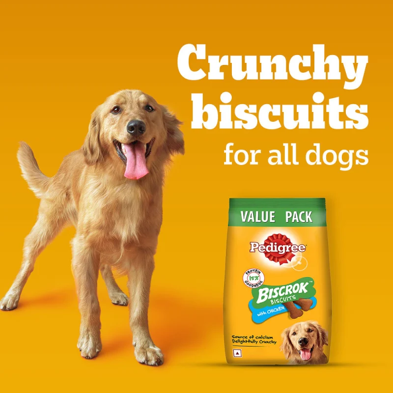 Pedigree Chicken Flavour Biscrok Biscuits Dog Treats — side view
