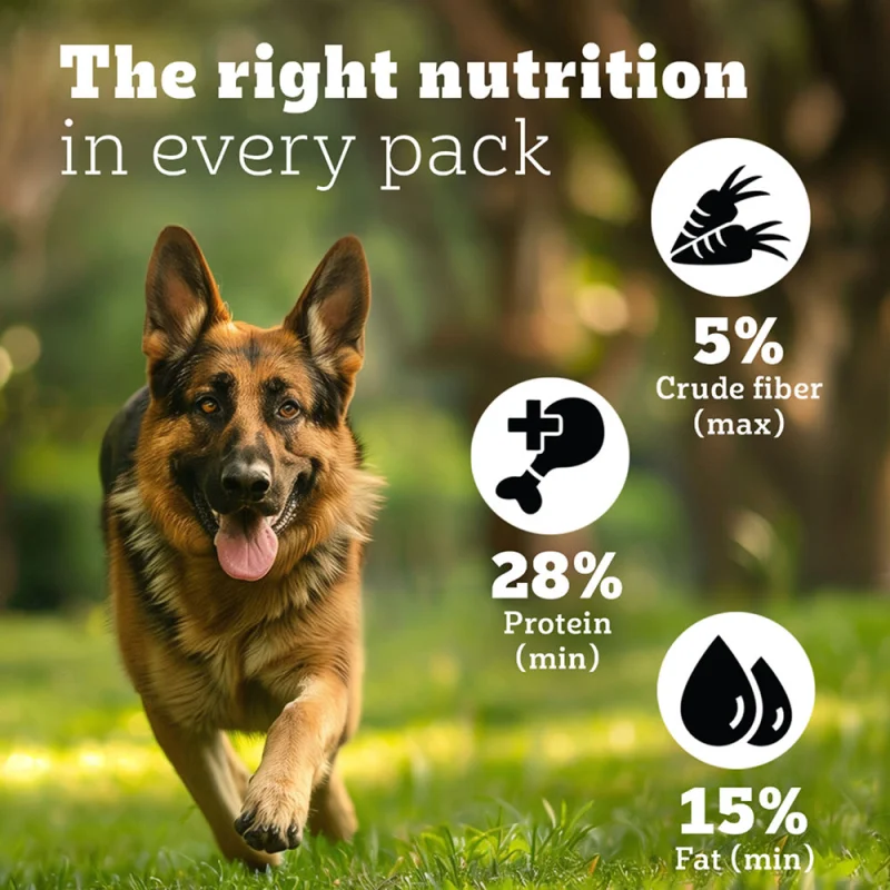 Pedigree PRO Expert Nutrition Active Adult (18 Months Onwards) Large Breed Dog Dry Food — in use