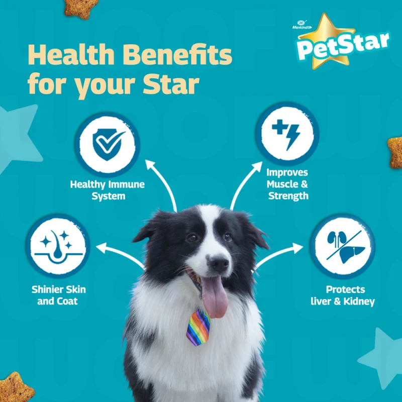 Mankind Petstar Chicken and Wheat Adult Dog Dry Food — in use