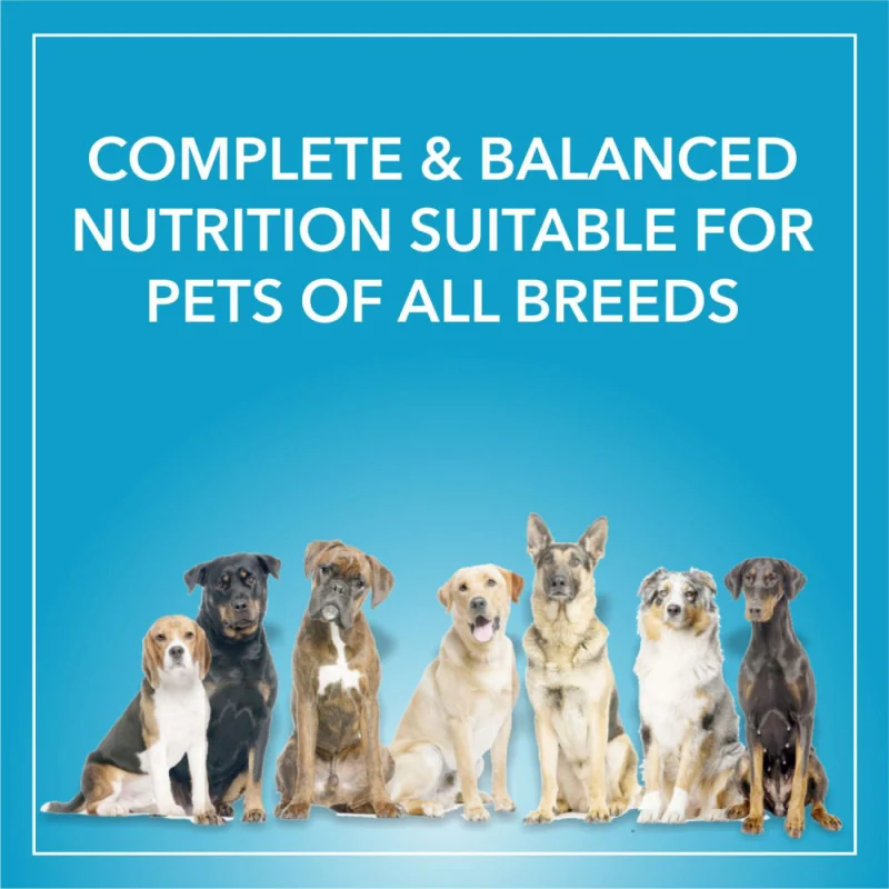 Purepet Chicken & Vegetable Adult Dog Dry Food — in use