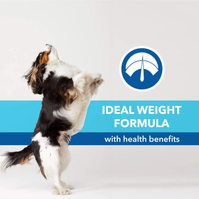 Purepet Chicken & Vegetable Puppy Dog Dry Food — back view