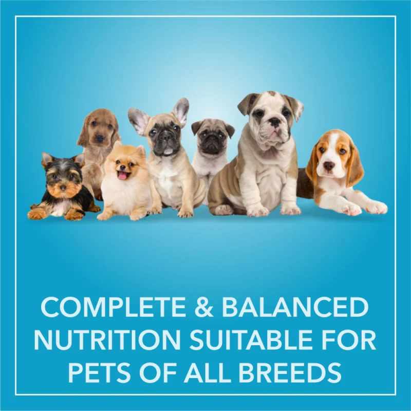 Purepet Chicken & Vegetable Puppy Dog Dry Food — in use