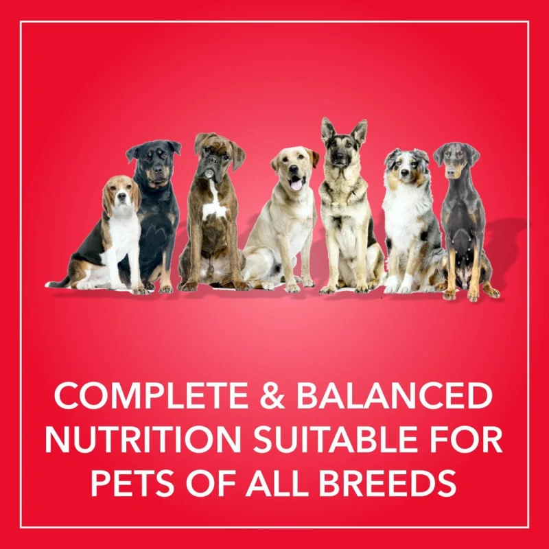 Purepet Meat and Rice Adult Dog Dry Food — in use