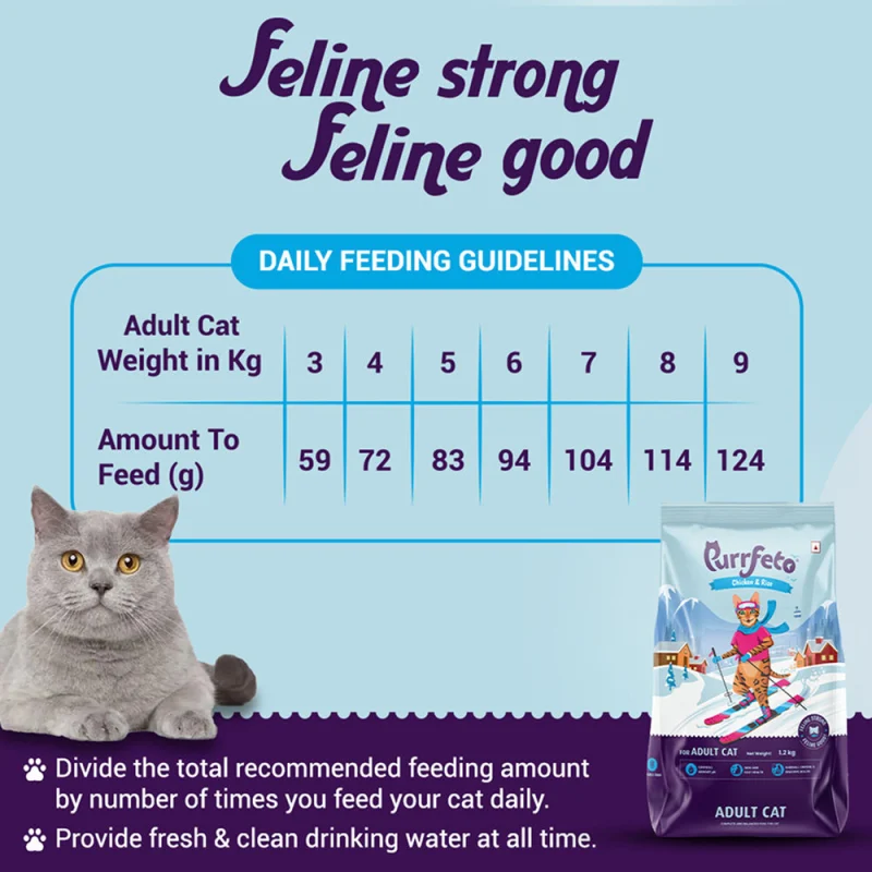 Purrfeto Chicken And Rice Adult Cat Dry Food Bgb - Image 4