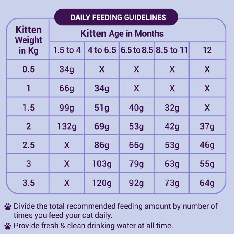Purrfeto Chicken And Rice Kitten Cat Dry Food Bgb - Image 4