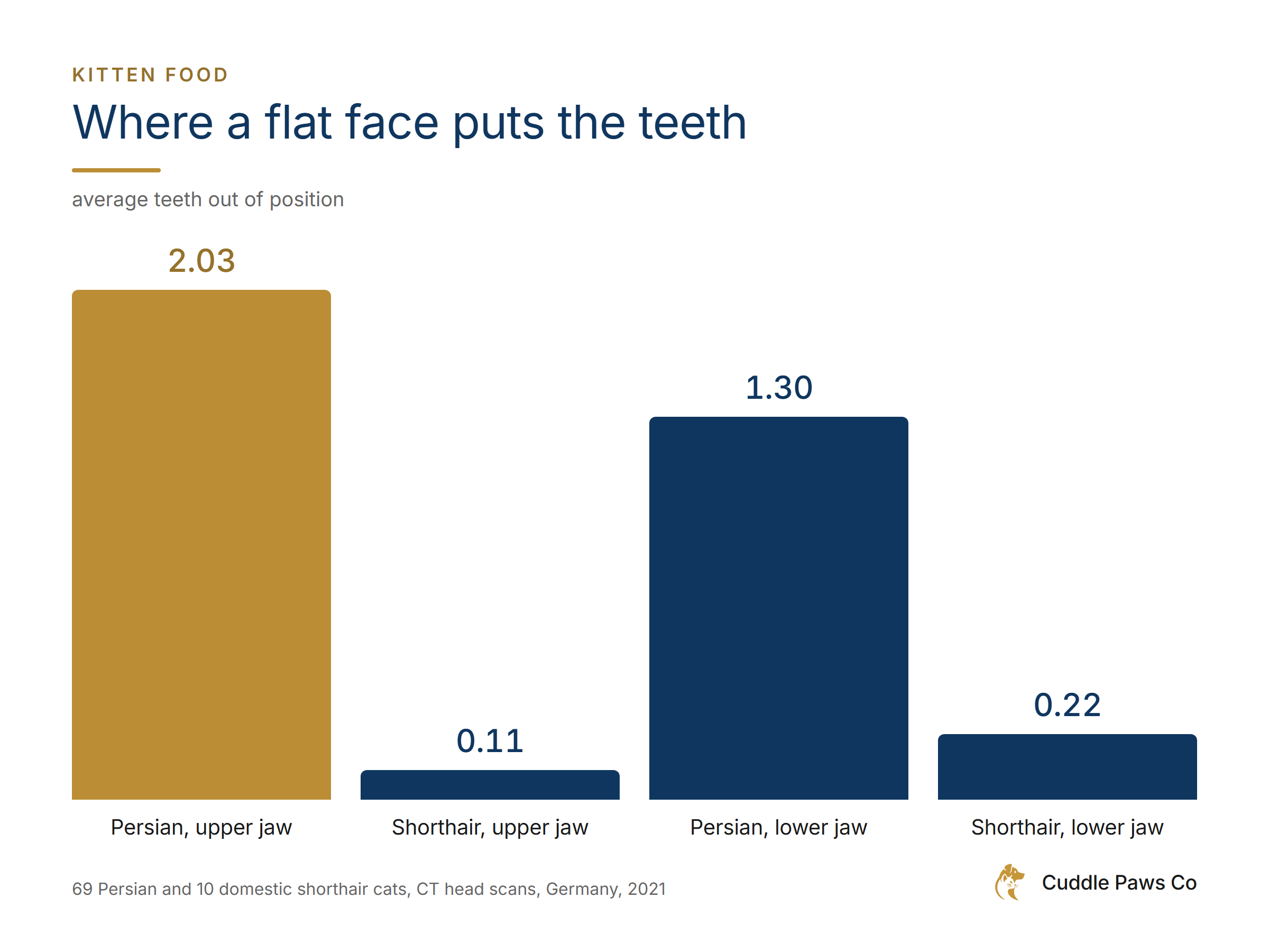 Bar chart of teeth sitting out of position in CT head scans of 69 Persian and 10 domestic shorthair cats, Germany, 2021. Persian upper jaw 2.03, shorthair upper jaw 0.11, Persian lower jaw 1.30, shorthair lower jaw 0.22.