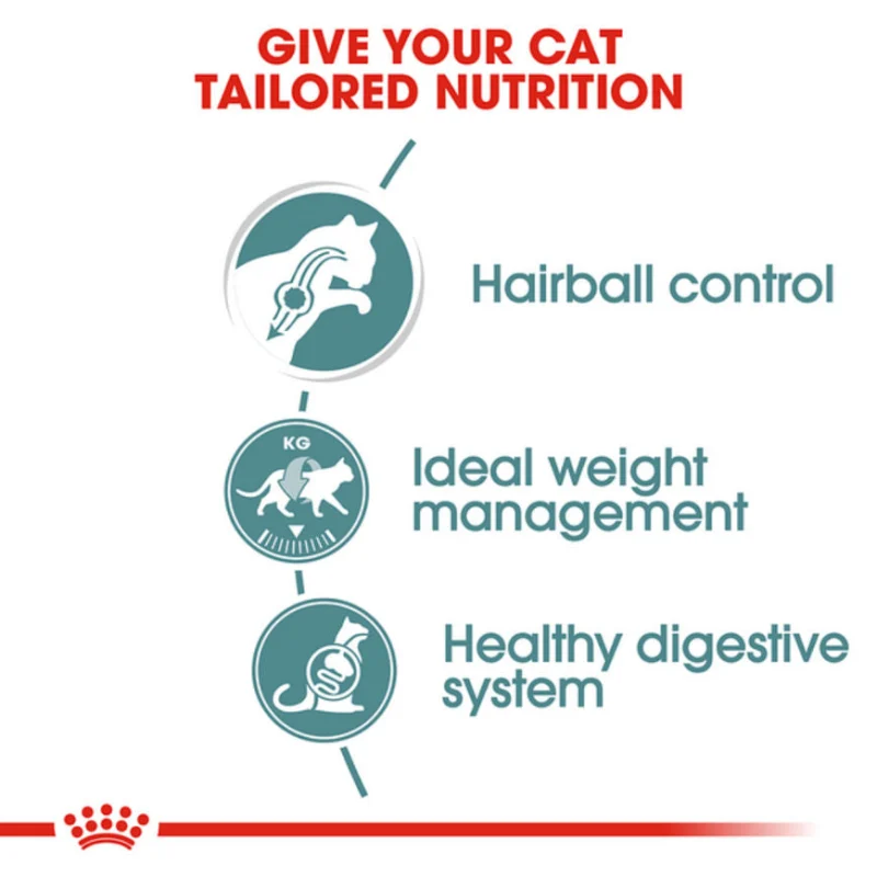 Royal Canin Hairball Care Wet Cat Food — back view