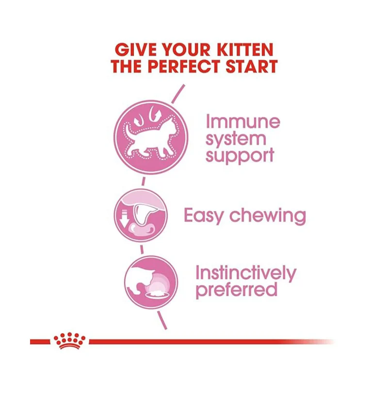 Royal Canin Kitten Wet Food in Gravy — detail shot