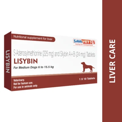 Savavet Lisybin Tablet