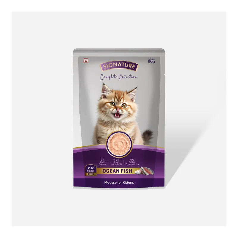 Signature Grain Zero Ocean Fish Mousse Kitten Cat Wet Food — in use