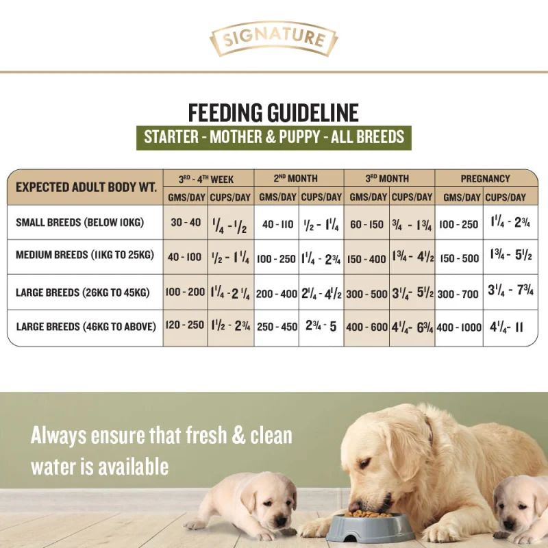 Signature Grain Zero Real Chicken, Egg and Vegetables Mother and Puppy Starter Dog Dry Food - image 4