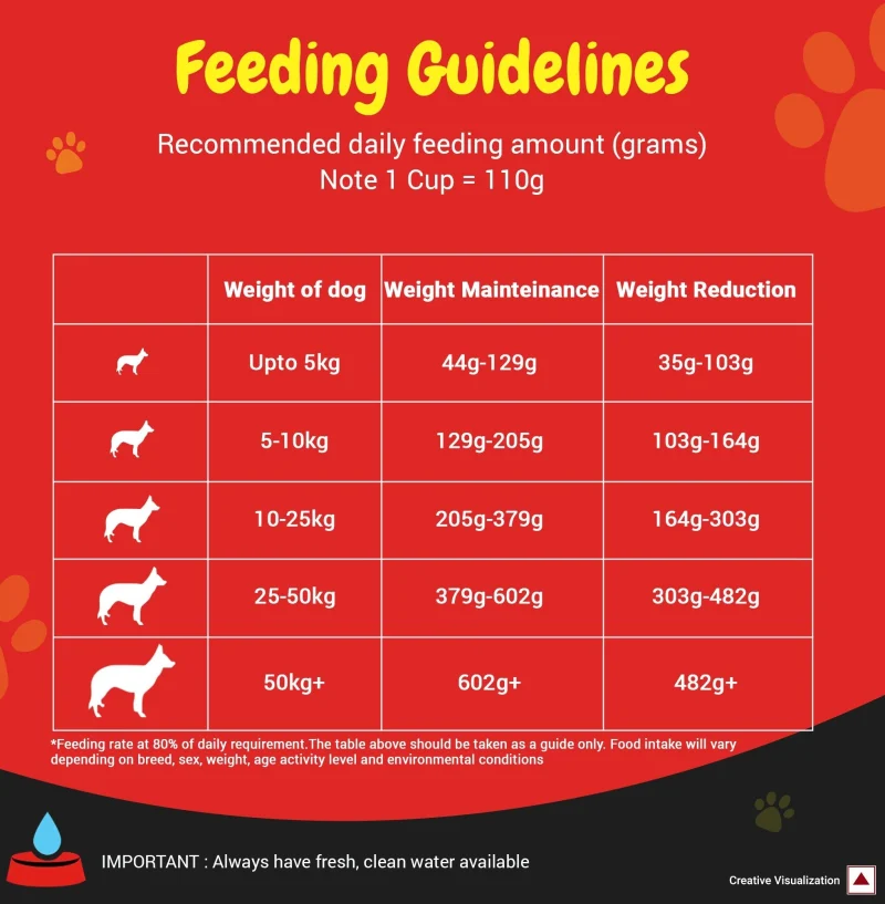 Purina SuperCoat Adult Healthy Weight Dog Dry Food — in use