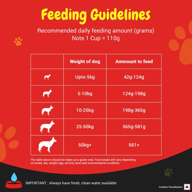 Purina SuperCoat with Chicken Smartblend Adult Dog Dry Food — in use