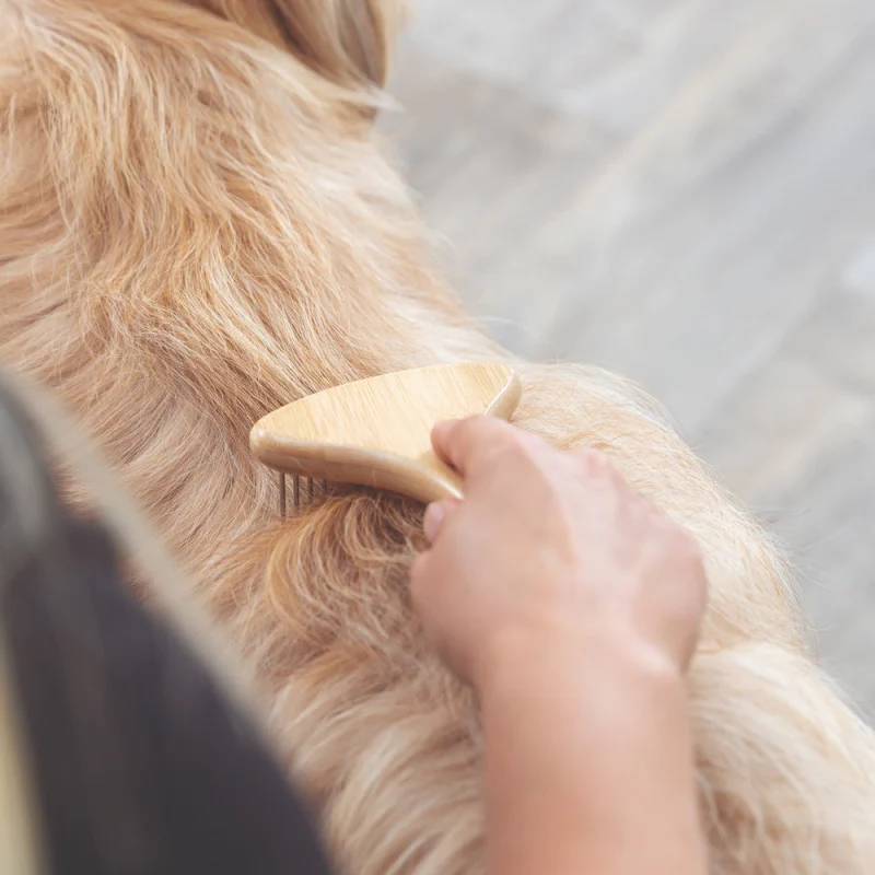 Trixie Detangler for Long Hair for Dogs — side view