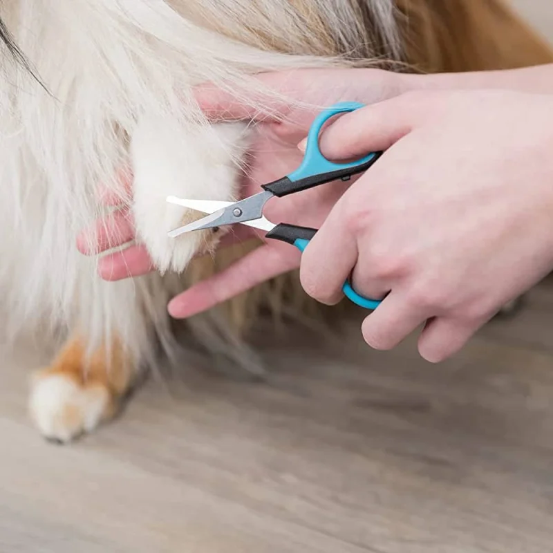 Trixie Face & Paw Scissors for Dogs and Cats — in use