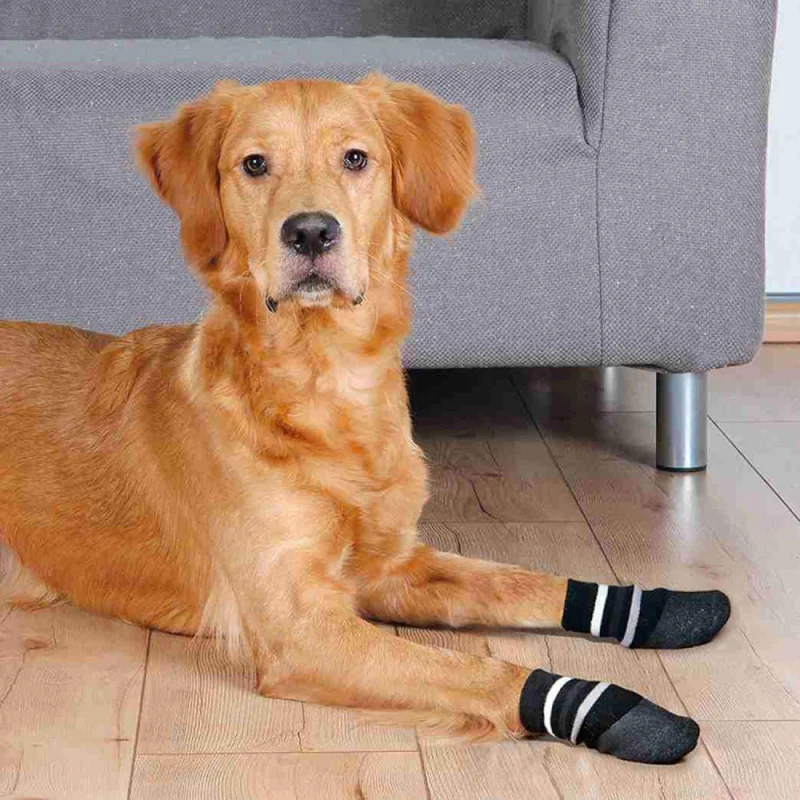 Trixie Non Slip with All Round Rubber Coated Socks for Dogs — detail shot
