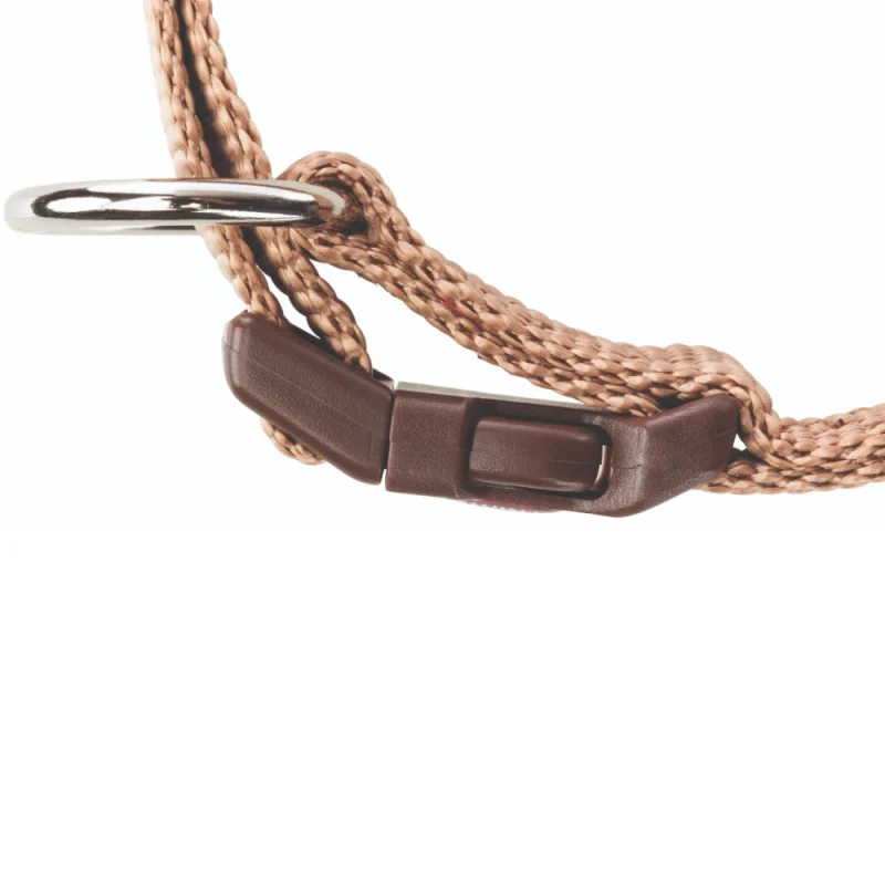 Trixie Premium Collar for Dogs — back view
