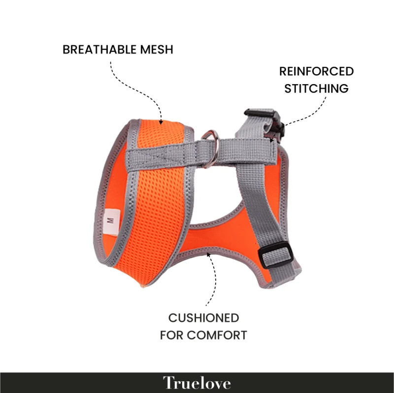 Truelove Harness for Cats and Small Dogs — back view