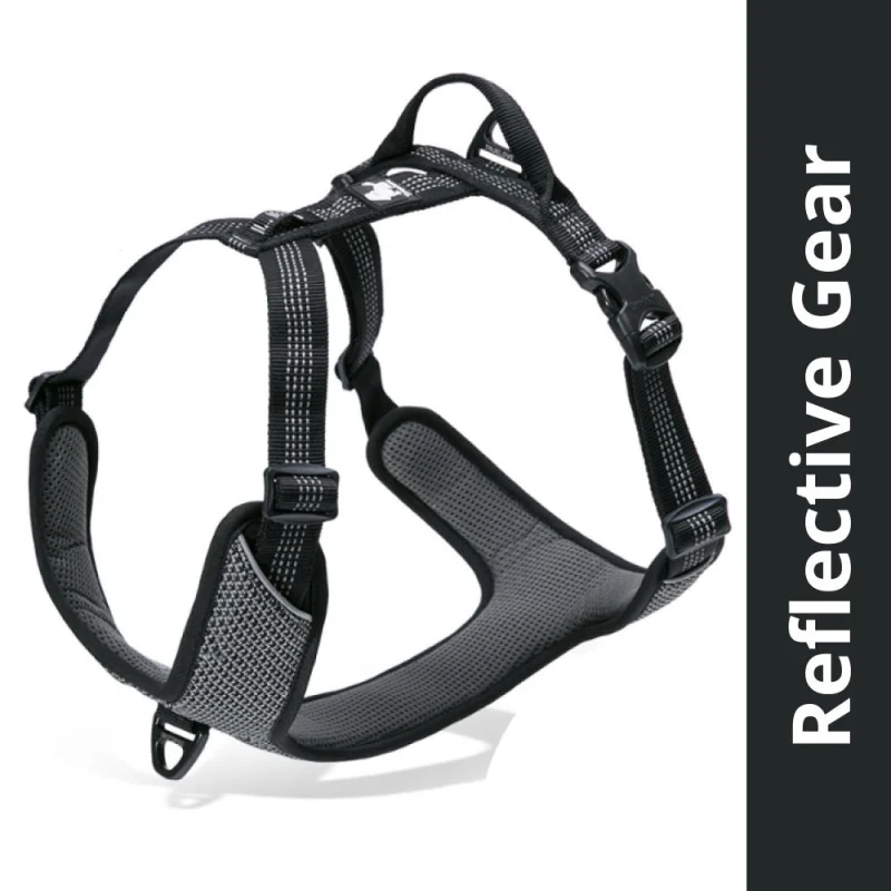 Truelove Harness With Reflective Fabric For Dogs Black