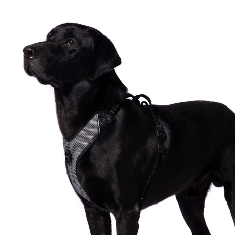 Truelove Harness with Reflective Fabric for Dogs — side view